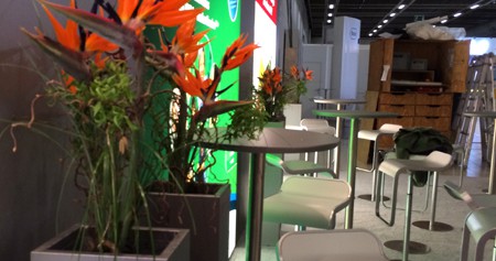 Firmenservice Blumen Boutique Wingen Wiesbaden