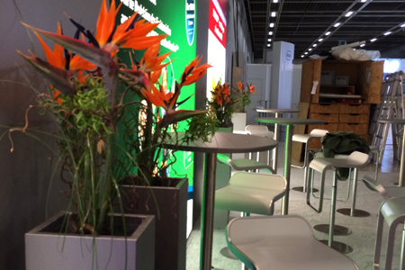 Firmenservice Blumen